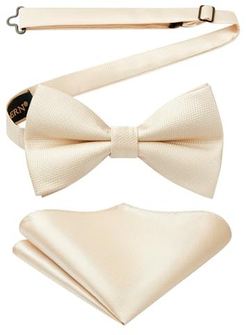 HISDERN Champagner Fliegen für Herren Hochzeit Fliege mit Einstecktuch Vorgebunden Smoking Anzug Fliege und Taschentuch Set Formelle Schleife Männer