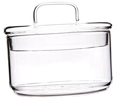 KICHOUSE Insalatiera in Vetro Trasparente Resistente al Calore Ciotola per Servire Frutta e per Insalate Dessert e Snack con