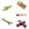 50 pcs wilder spargel samen - spargelsamen - seeds, pflanzen samen indoor (Asparagus officinalis) bio gemüse, pflanzen samen wintergemüse saatgut, bodendecker samen winterhart gemüse