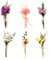 Ceihwa 6pcs Bündel Trockenblumenstrauß Klein Trockenblumen zum Basteln Mini Getrocknete Blumenstrauss Getrocknete Sträuße Blumen Deko Natürlich Getrocknete Blumenstrauß für Party,Hochzeits,Geburtstag
