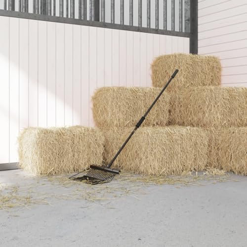 vidaXL Fourche avec 18 Dents Noir Acier, Fourche pour Cheval, Fourche en métal, Fourche pour Compost, Fourche à fumier, Fourche à fumier de Cheval