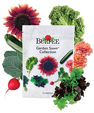 Burpee Garden Sown Flower, Herb & Vegetable 10 Packs of Non-GMO Basil, Lettuce, Cucumber, Radish, Spinach, Kale, Zucchini, Sunflower & Marigold, Seeds for Planting