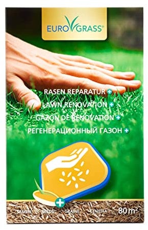 Rasensamen mit Coating für Schnelle Rasenreparatur | Schnellkeimende Mischung für Kahle Stellen & Turbo Nachsaat Rasen | Winterhart, Robust & Rasensamen Herbst – 2 kg für 80 m²
