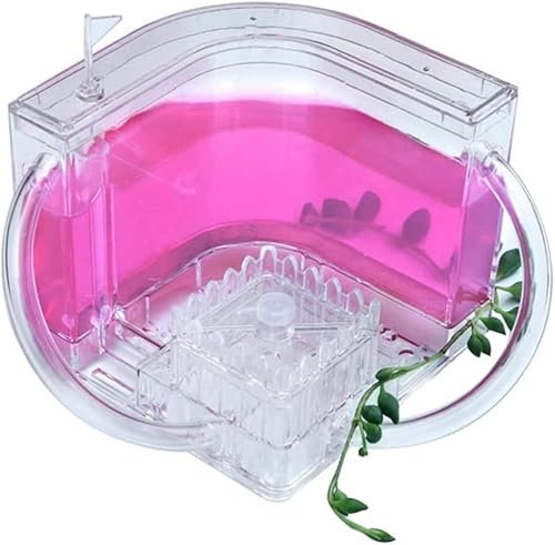 Ameisenfarmen für lebende Ameisen, kreative Ameisenfarm, durchscheinendes Gel, Ameisenschloss mit Verbindungsrohr, Ameisennester Beobachtungsset, Bauernzucht-Kit (Farbe: