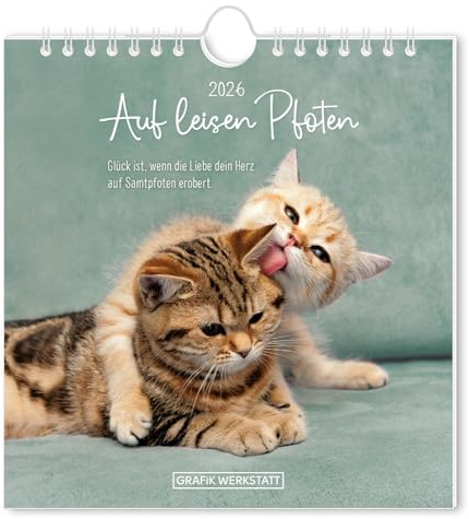 Auf leisen Pfoten - Postkartenkalender 2026 - Grafik Werkstatt - Wandkalender - Monatsplaner mit Postkarten - 16 cm x 17 cm