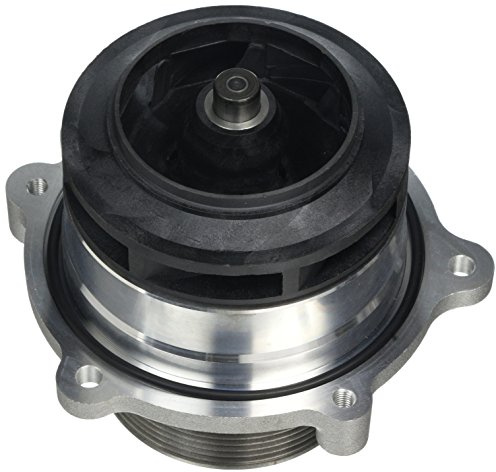 Dolz D204 Wasserpumpe