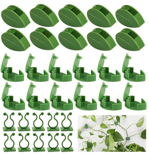 DARENYI 60 Stück Pflanzenclips für Kletterpflanzen, Selbstklebende Pflanzenklammern Pflanzenhalter Wand Pflanzen Clips Wand für Gartenbaupflanzen, Reben, Gemüsepflanzen, Pflanzen Stängel