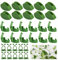 DARENYI 60 Stück Pflanzenclips für Kletterpflanzen, Selbstklebende Pflanzenklammern Pflanzenhalter Wand Pflanzen Clips Wand für Gartenbaupflanzen, Reben, Gemüsepflanzen, Pflanzen Stängel