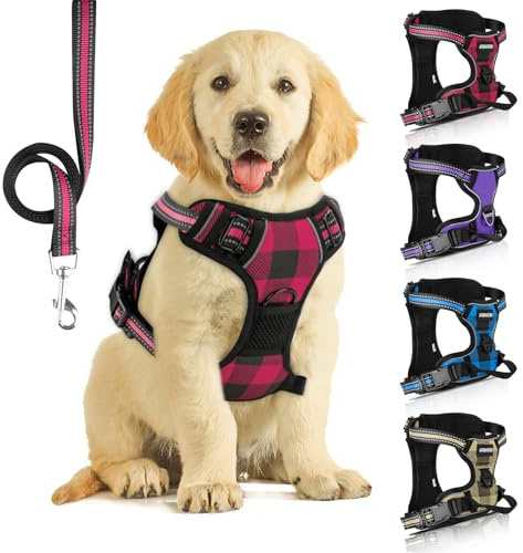 SIBOTER Harnais Chien, Harnais Anti Traction pour Chien, Harnais Chien Anti Traction Réfléchissant, avec Laisse pour Chien, pour Entraînement en Plein Air, Plaid Rouge, M