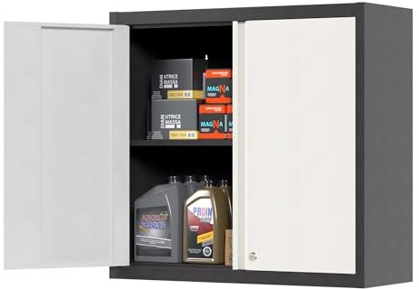 LOCENHU Metall-Wandschrank Werkzeugschrank, mit 1 Höhenverstellbarem Fachboden und 2 Türen, Abschließbarer Edelstahl-Wandschrank, Geeignet für Garage und Werkstatt, Größe: H66 x B66 x T30 cm