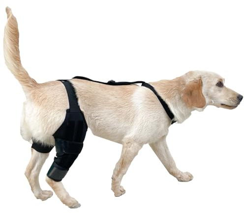 Hund Stützbandage Für Hinterbeine | Hinterlauf-Stützmanschette | Rutschfeste Tier-Kniebandage Mit Verstellbarem Gurt, Weicher Schutz Zur Stabilisierung Bei Mobilitätseinschränkungen & Rehabilitation