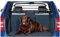 Kleinmetall Roadmaster Deluxe geeignet für VW Golf Plus Hundegitter/Trenngitter mit Schnell-Spanner System