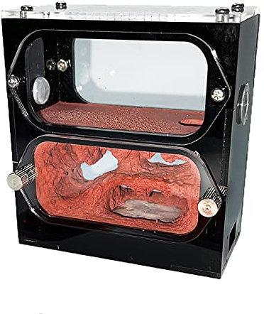 ACSUZ Ameisenfarm Mit Feuchtigkeitsspendendem Wasserturm Beton Ameisennest Ameisenkönigin Zucht Insektenhaus Ameisenhaufen Werkstattzubehör