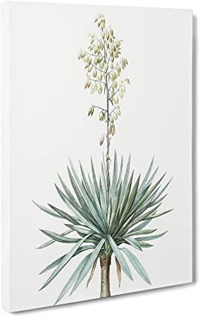 Adams Needle Yucca Flowers By Pierre Joseph Redoute Canvas Print | Gallery Wrapped 30mm Frame Wall Art | 20x14 inches | Ready to Hang | Retro Floral Picture | Living Room Bedroom Lounge Office