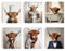 SUPERDANT 6PCS Highland Bulle Wandkunst Poster Kuh Lustige Badezimmer Leinwanddrucke Bulle Moderne Toiletten Wandposter Tiere Wandkunstdrucke Für Badezimmer Toilette Schlafzimmer Dekor Ungerahmt
