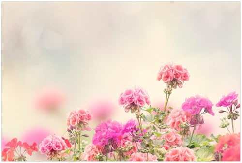 Wallario Küchenrückwand selbstklebend 90 x 60 cm, Motiv: Zarte Blüten in Rosa | Spritzschutz abwischbar & pflegeleicht