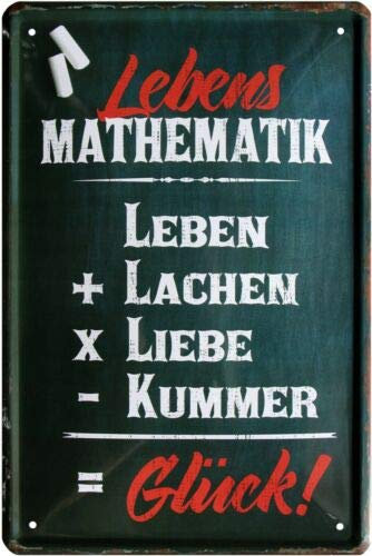 Lebens Mathematik - Leben Lachen Lieben - Glück 20x30 cm Blechschild 1155