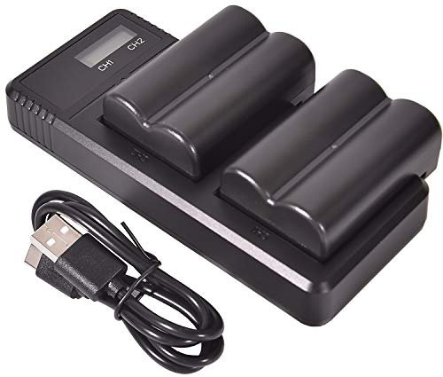 Lot de 2 batteries de rechange NP-FM500H DSTE + chargeur double LCD à charge rapide compatible avec Sony a200 a300 a350 a700 Alpha a58 Alpha a99 DSLR-A100