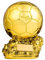 LNGODEHO Trophée de ballon d'or de football, souvenir commémoratif de champion de football, cadeau commémoratif pour les fans de la coupe du monde de football (24,9 cm)
