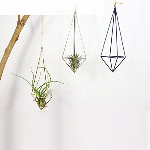 2 Stück Hängepflanzen, Vase, Wanddekoration, Behälter für Sukkulenten, Luftpflanzen, Mini-Kakteen, Kunstpflanzen (schwarz)