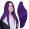 RUNATURE Purple Tape in Hair Extensions - Human Hair Tape Extensions - 25 Gram