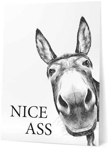Papierschmiede® Bilder Home XXL Kunstdruck B2 (50x70 cm) Spruch Poster Zuhause Schrift Bild Wanddeko in schwarz weiß, Sprüche für Wohnzimmer Büro Badezimmer WC Deko Klospruch Gäste WC, Esel Nice Ass