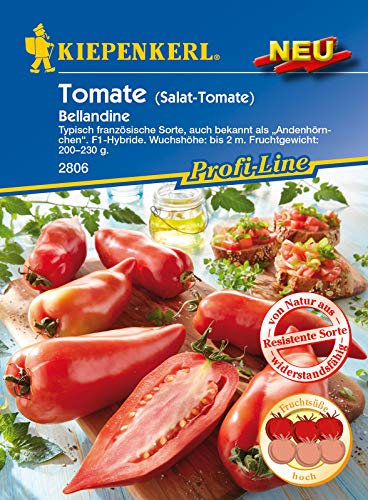 Salat-Tomate Bellandine F1,1 Portion