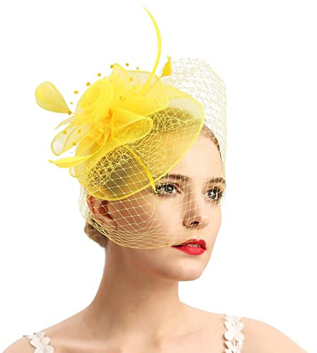 Bibi pour femme - Accessoire de coiffure pour mariage, chapeau - Clips - Voile - Bandeau pour fête de thé - Pour femme - Boîte à pilules - Accessoire de cheveux pour église, Halloween, cocktail, club,