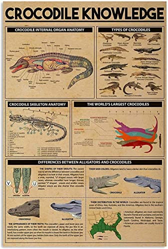 Aluminium Metallschild Krokodil-Wissen Warnschilder Retro Retro Metallschild Vintage Blechschild Retro Für Geschenk, Café, Badezimmer