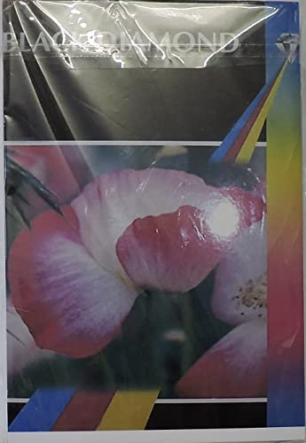 BLACK DIAMOND 600 Lamellen 6x4r (100mm x 150mm) 240g/m2 Glanz Fotopapier