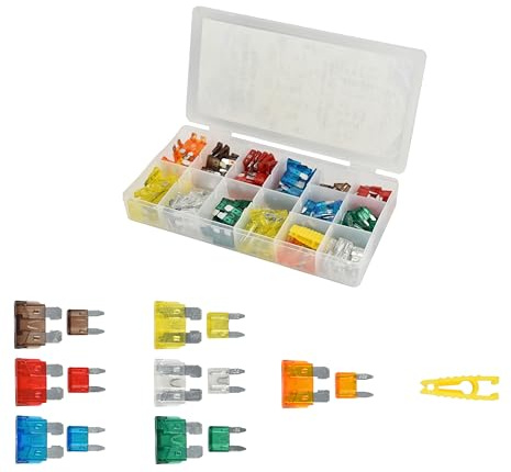 220pcs most common used mini and standard blade fuses:5A, 7.5A, 10A, 15A, 20A, 25A, 30A assortment.