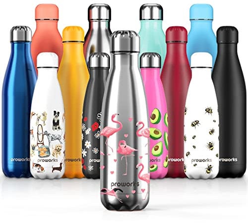 PROWORKS Bouteille d'eau Isotherme, sans BPA, Gourde INOX Reutilisable pour Maintien Chaud de 12 Heures & du Froid Jusqu’à 24 Heures, Sport, Gym, Voyage - 500ml - Argent - Flamant