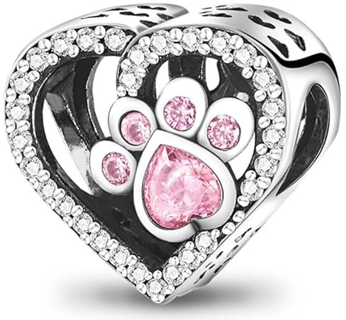 TINSLO Charm Anhänger Damen 925 Sterling Silber für Armband Charms Beads passend für Pandora Armband und Halskette, Kompatibel mit Europäischen Armbänder für Frauen Mädchen B2