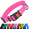 CollarDirect Collier Chien Imperméable Ajustable – Silicone & Plastique, Anti-Odeur, Facile à Nettoyer, Boucle Sécurité – pour Petits, Moyens et Grands Chiens
