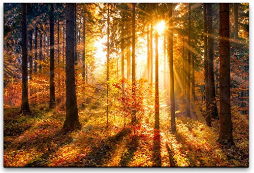 bestforhome 90x60cm Leinwandbild Wald im Herbst im Sonnenschein Leinwand auf Holzrahmen