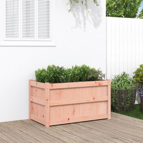 LAPOOH Jardinière 90x50x50 cm Bois Massif Douglas,Jardiniere sur Pieds,Bac avec Treillis,Jardiniere Terrasse