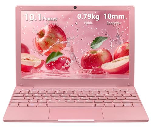 LONGEVINCE Mini Ordinateur Portable De 10,1 Pouces, Processeur Celeron N4020,1280 * 800, Mémoire 8G, BT5.0, Type-C, USB3.0 * 2, Mini HDMI, Carte TF,0,79 Kg(Or Rose,8GB+256G SSD)