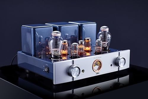 Willsenton R300 Plus Tube Amplifier 300Bx2 Single End Class A Built-in Amplifier Power Amplifier Headphones Amplifier All in One (Silver)