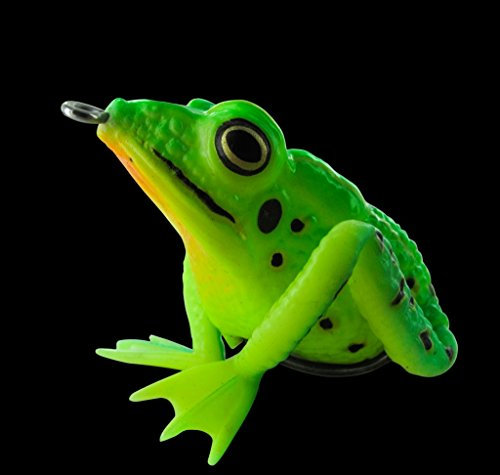 Jenzi,The Prinz- Realistic Frog Neon Green