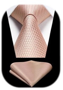 HISDERN Cravate Homme Rose Cravates et Pochette Mariage Élégant Ensemble de Cravate Mouchoir