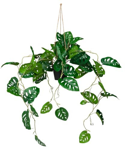 hjh OFFICE Künstliche Hängepflanze im Topf 100cm Monstera Climb Künstliche Pflanze hängend, exotische Kunstpflanze Monstera