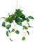 hjh OFFICE Künstliche Hängepflanze im Topf 100cm Monstera Climb Künstliche Pflanze hängend, exotische Kunstpflanze Monstera