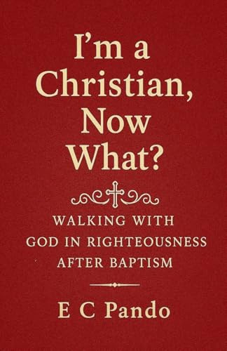 I'm A Christian, Now What? (My Christian Values)