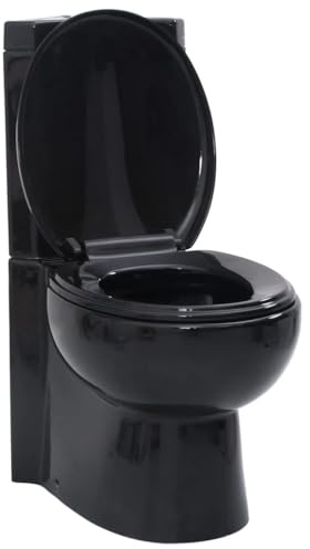 Generic Inodoro de Cerámica Compacto/de Esquina, Inodoro de Suelo con Mecanismo de Doble Descarga, Cerámica, Blanco (Negro)