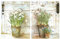 Cuadro de Madera de macetas, Fondo Blanco. Set de 2 Cuadros de 19 cm x 25 cm x 4 mm unid. Adhesivo FÁCIL COLGADO. Adorno Decorativo. Decoración Pared hogar