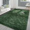 Pettop Fluffy Deep Green Rug for Bedroom Living Room, 4x6 Feet Rectangle Large Plush Fuzzy Carpet for Girls Kids Boys, Non-Slip and Washable Rug for Nursery Classroom, Home Decor