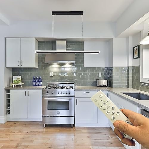 Partenopea® Lampadario Plafoniera a Sospensione illuminazione a Led Dimmerabile dal Design Moderno per ambienti Domestici e commerciali (3 Tonalità luce Telecomando, Nero)