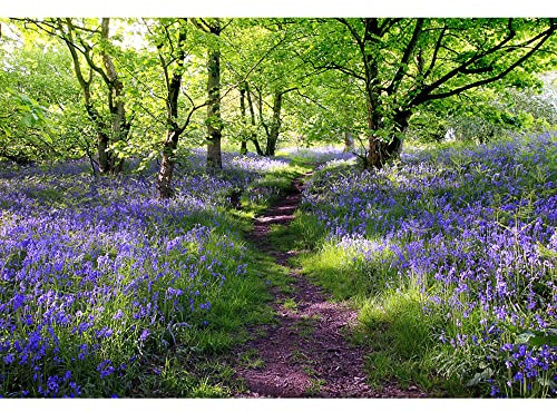 Aoihrraan 2,2x1,5m Lavender Manor Backdrop Purple Flowers Green Trees Spring Forest Park Nature Landscape Photography Background Wedding Shoots Children Adults Artistic Portrait Photo Studio Props
