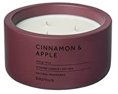 blomus Duftkerze -FRAGA- aus Beton | Farbe Port | Duft Cinnamon & Apple | Ø13 x 7H cm | 100% nachhaltiger Sojawachs