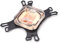 Xiniy Universal Water Cooling Block Copper Cooler for LGA 775/1150/1155/1156/1366 AM3 AM2 Copper CPU Cooler Easy Install Easy to Use